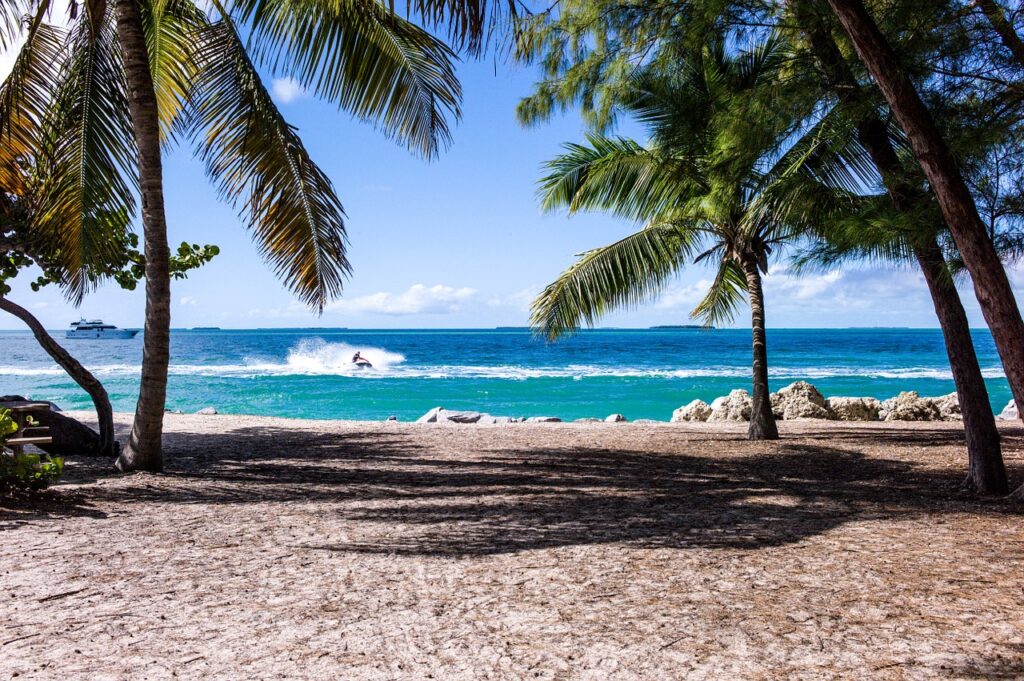 beach, palm trees, sand-1149146.jpg